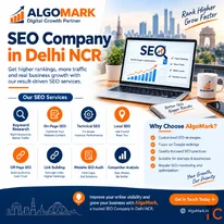 Looking for a reliable SEO Company in Delhi NCR to improve your website rankings and attract more cu