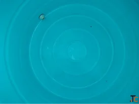 Affordable Professional Water Tank Cleaning in Faridabad