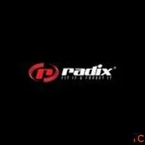 Radix Power Solutions Private Limited
