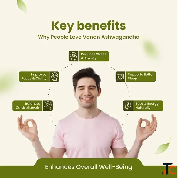 Premium Ashwagandha Capsules Natural Ashwagandha Supplement