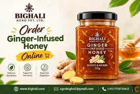 Buy Ginger-Infused Honey Online in India for Daily Wellness