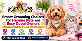 Better Grooming Habits for Happy Pets