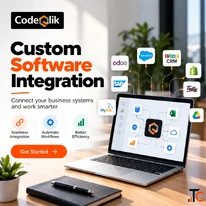 Custom Software Integration Services for Businesses