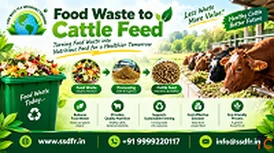 Make Food Waste to Cattle Feed - Sustainable Recycling Solutions