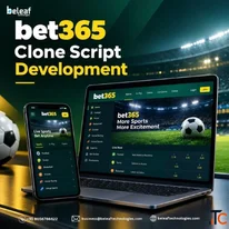 Ready to Launch Your Sports Betting365 Platform