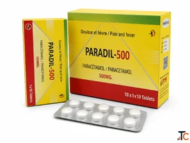 Paradil Paracetamol 500mg Tablet Manufacturer India Get a Quote Today
