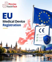 Navigating EU Compliance In Vitro Diagnostic Regulations Guide