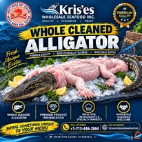 Whole Cleaned Alligator Wholesale Supplier Kris'es Seafood
