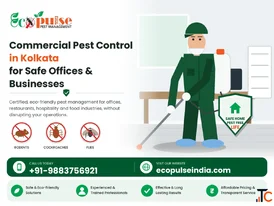 Commercial Pest Control in Kolkata Reliable Pest Management Services