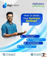 Branding Solutions for Startups and Growing Businesses