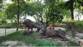 Jungle Trail Park Noida - Waste-to-Art Animal Sculptures Adventure Rides Dining