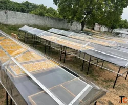 Samagra Commercial Solar Dryer Dehydrator Machine