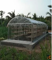 Solar Dryer Machine for Fruits and Vegetables in India
