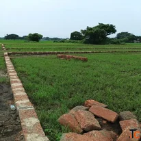 Durga Puja Special Offer - 1250 per sq. ft. Residential Plots for Sale in Bhubaneswar