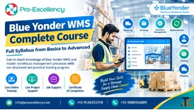 Blue Yonder WMS Complete Course for Beginners and Working Professionals