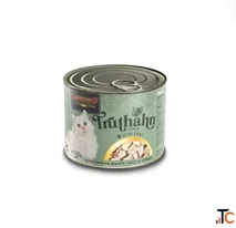 Cat Food to Support Your Feline's Daily Nutrition