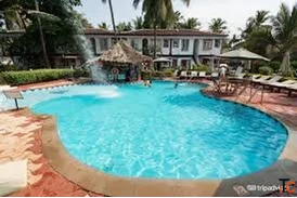 Enjoy a Relaxing Stay at a Swimming Pool Hotel and Resort in Morjim Goa