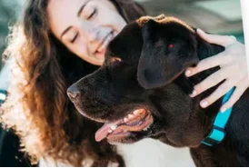 Animal Wellness Exams for a Healthier Happier Pet
