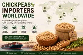 Desi Chickpeas Suppliers Bulk Exporters Tradologie