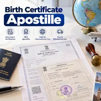 Birth Certificate Apostille for India What to Prepare Before You Apply