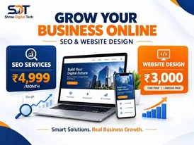 Professional Website Design SEO Packages