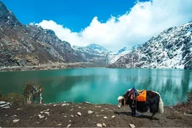 Darjeeling Gangtok 4Nights 5 Days