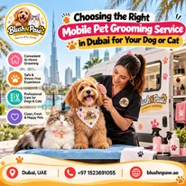 Mobile Pet Care for Dogs and Cats
