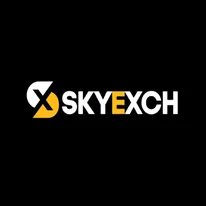 Skyinplay A Complete Guide to Online Gaming and Digital Entertainment