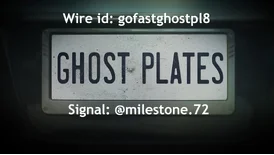 Buy Active Blackout License Plate Cover