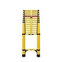 Star Infomatic ElectroSense Telescopic Ladder