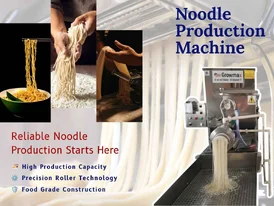 Noodle Production Machine A Complete Guide for Food Manufacturers