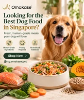 Fresh Dog Food Singapore - Freshly Prepared Meals for Dogs
