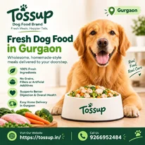 Dog Food Delivery in Gurgaon - Fresh Meals for Dogs