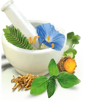 Ayurvedic Treatment For Piles in South Delhi