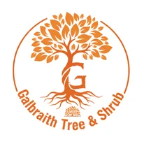 Tree Maintenance Services for Healthier and More Attractive Landscapes