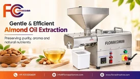 Almond Oil Extraction Without Crushing - Flora Oil Machine