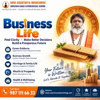 Business Astrology in Delhi Sukshma Naadi Astrology for Growth Prosperity