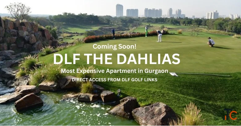 DLF The Dahlias Gurgaon 4 5 6 BHK Luxury Apartments Sector 54
