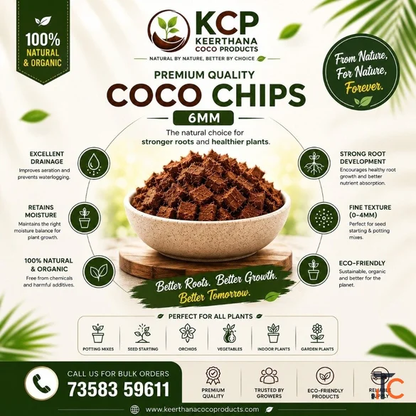 Coco Chips Manufacturer in Madurai Keerthana Coco Products