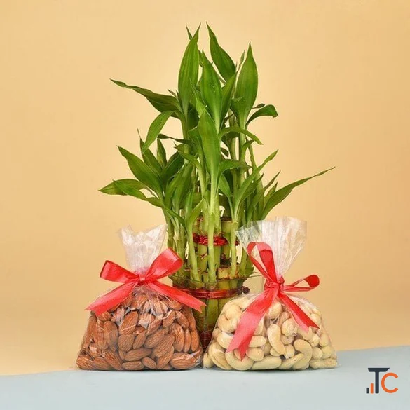 Buy Thoughtful Diwali Dry Fruit Hampers Online from OyeGifts
