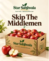 Top Vegetable Home Delivery in Jaipur Free Home delivery