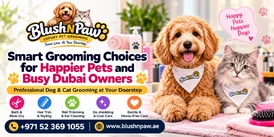 Convenient Pet Grooming Services in Dubai