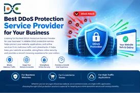 Best DDoS Protection Service Provider for Your Business