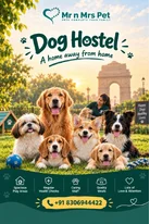 Dog Hostel in Delhi