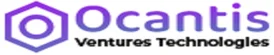 Digital Marketing Company in Chandigarh - Octantis IT Services
