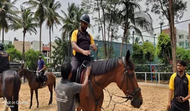 Horse Riding Club Bangalore