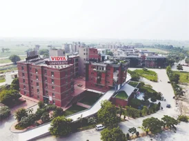 BFA in Painting at Vidya University Meerut