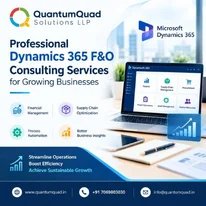 Professional Dynamics 365 FO Consulting Services for Growing Businesses