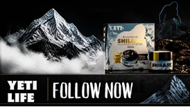 Best Shilajit in India A Guide to Comparing Quality