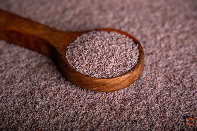How to Choose a Reliable Psyllium Husk Supplier in the USA for Bulk and Wholesale Needs